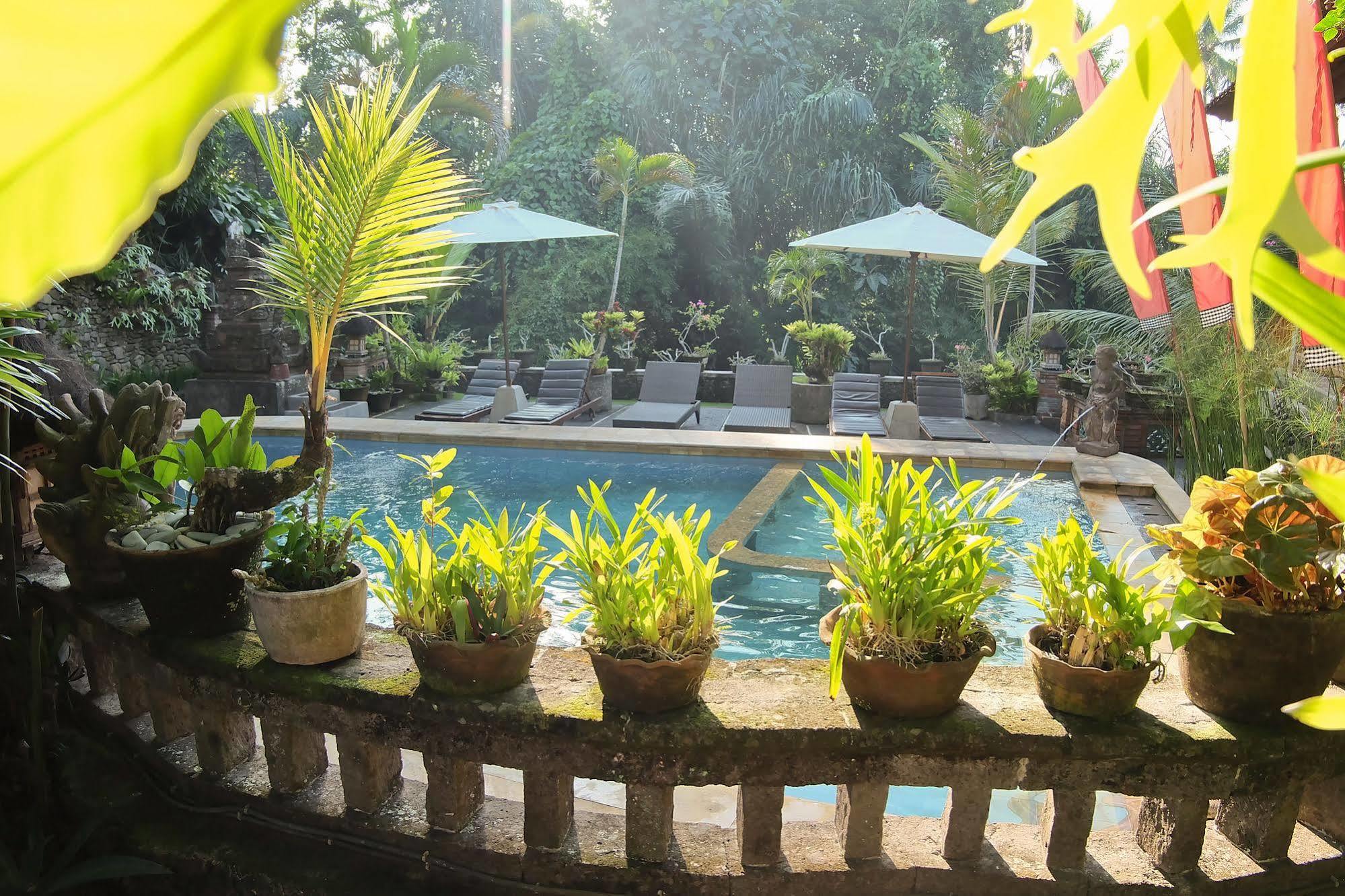 Ketut'S Place Bed & Breakfast Ubud Buitenkant foto